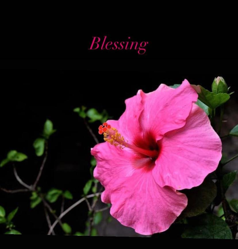Blessing House *